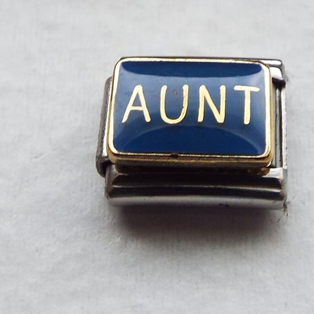Aunt on blue enamel 9mm stainless steel italian charm bracelet link new